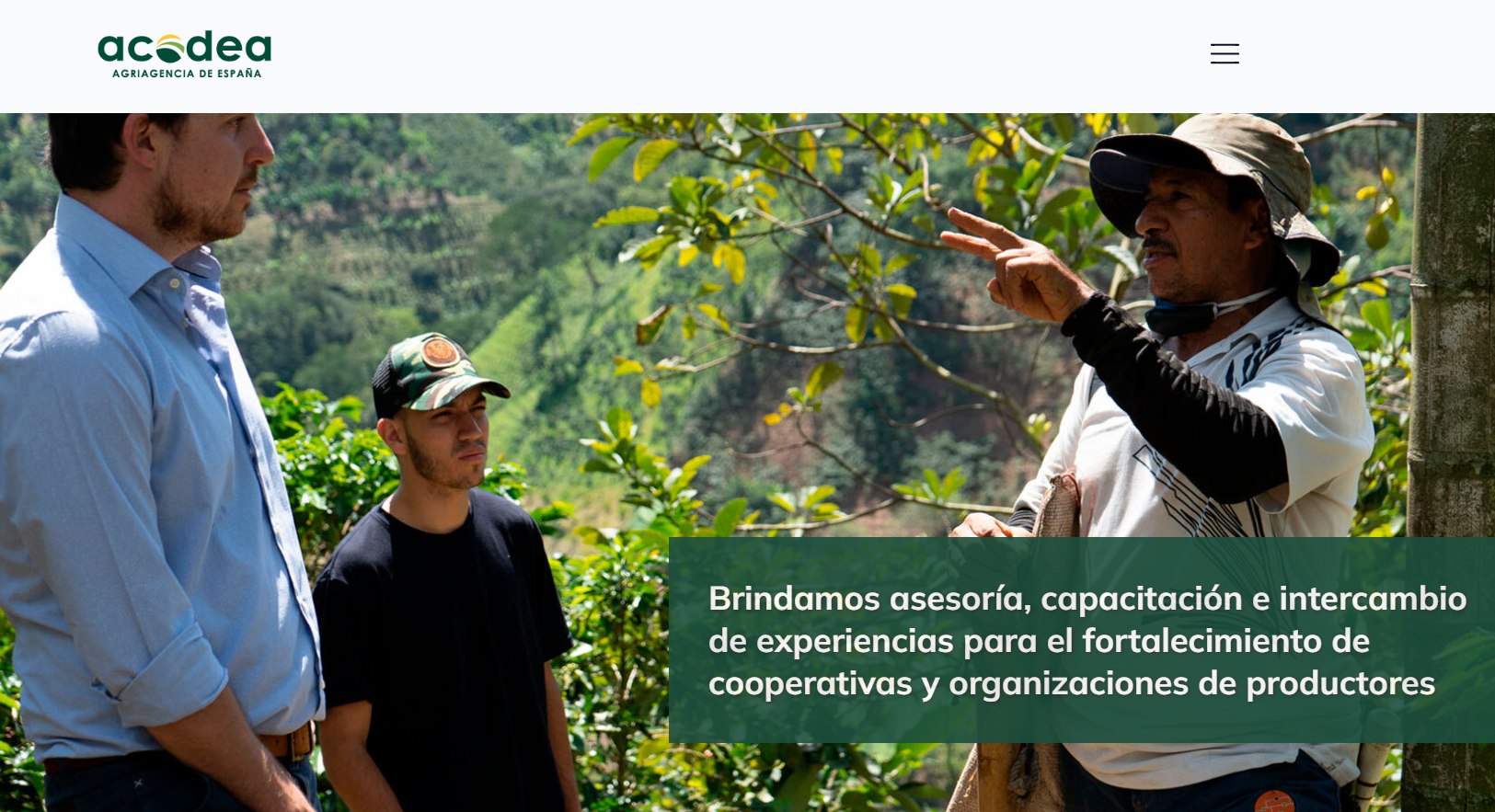Acodea - ¡Nos alegra compartir nuestra nueva web! Junto a... | Facebook