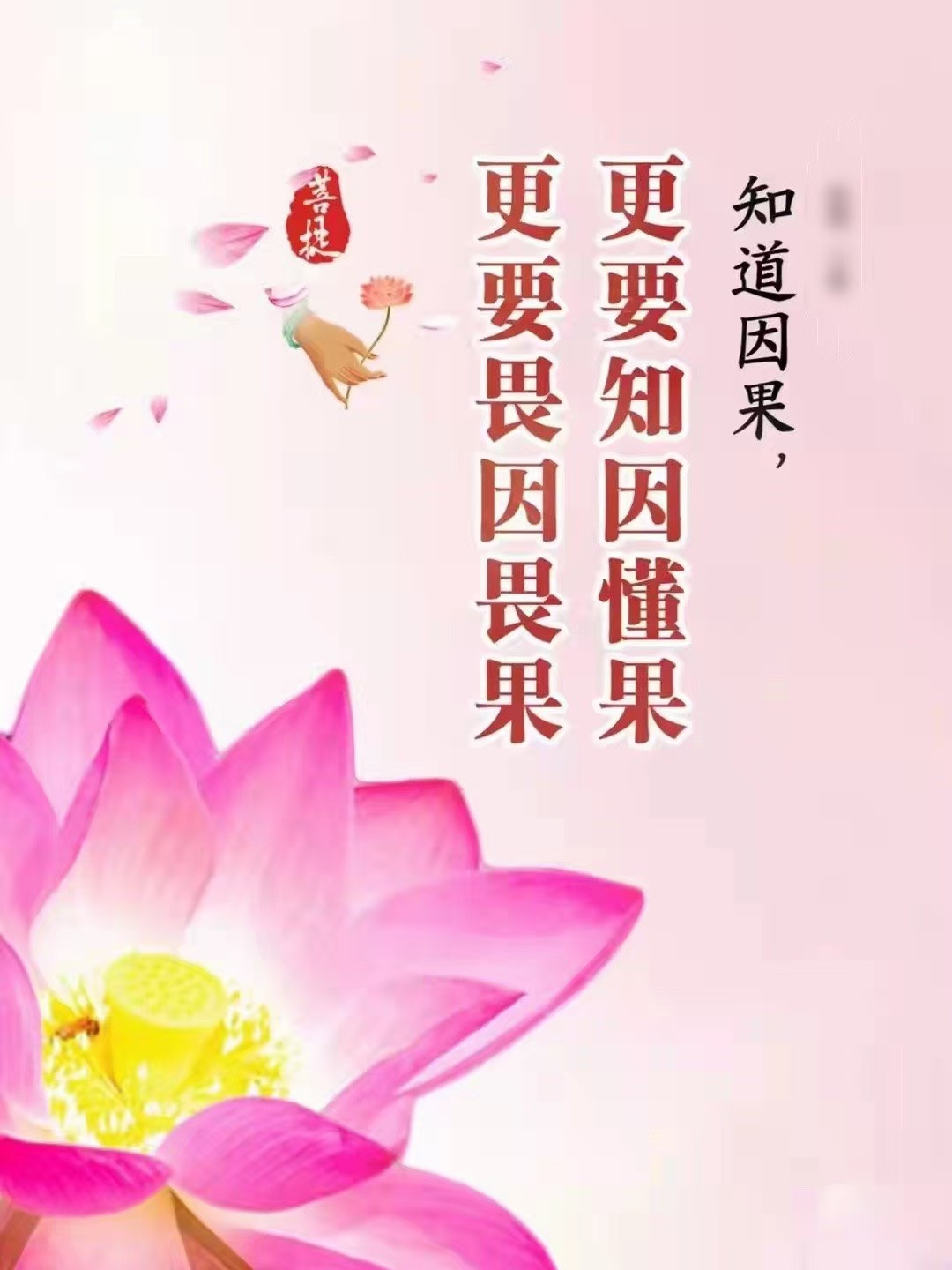 泰佛文化结缘