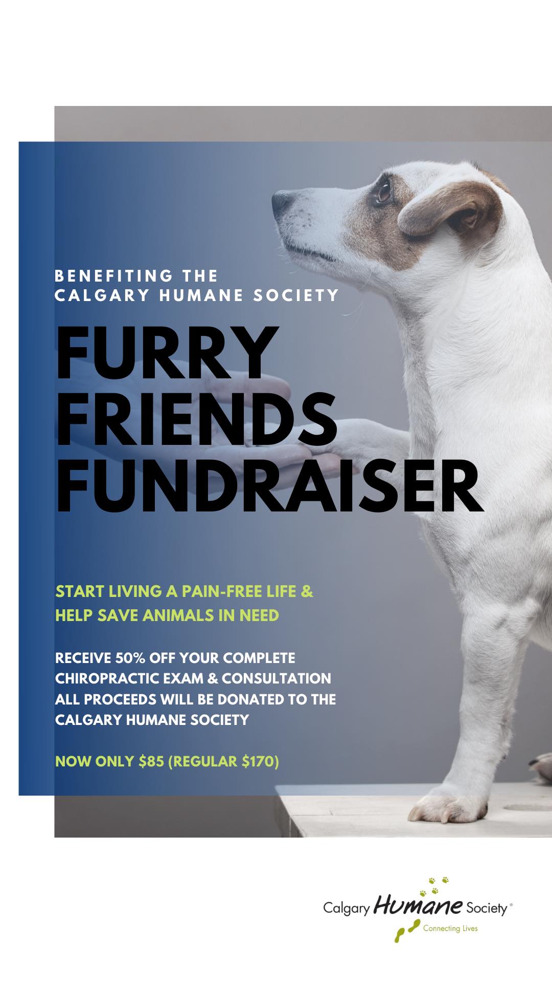 Let us Help! Save... - Century Chiropractic Wellness Centre | Facebook