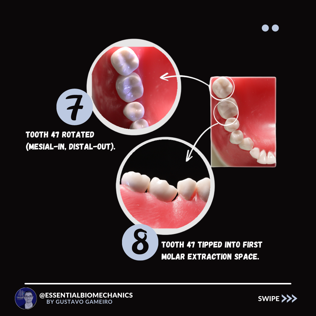 Essential Biomechanics added a... - Essential Biomechanics