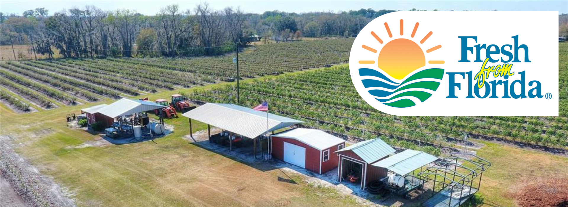 Lithia Berry Farms | Lithia FL