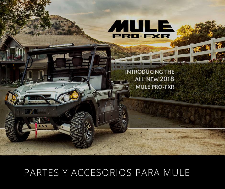 Max Racing | Lima