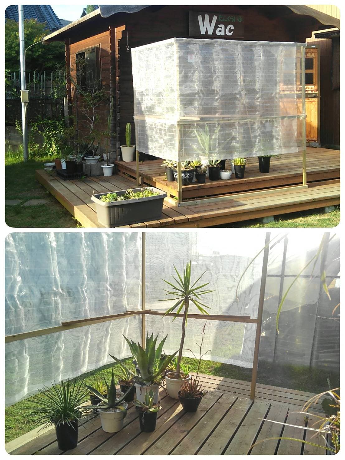多肉植物wac 日よけ 出来ました ヽ O 丿 資材買い出し 1時間 暑さ避け休憩 5時間 Facebook