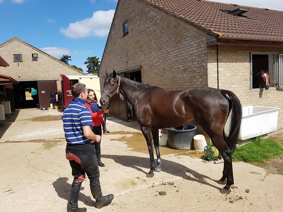 A morning at the stables, to see... - Royale Racing Syndicate