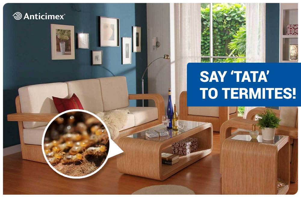 Anticimex Malaysia - Home  Facebook