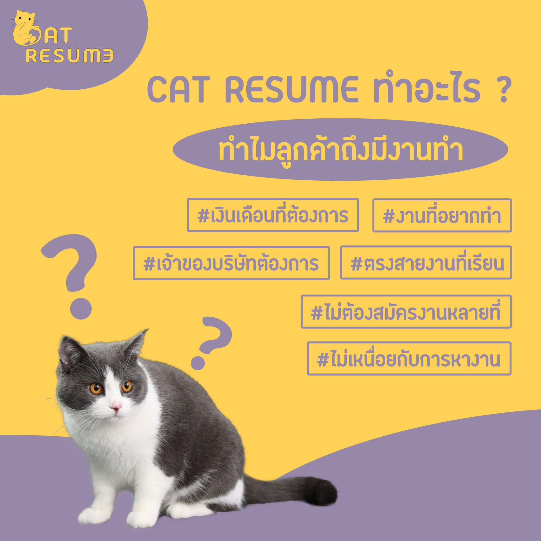 Cat Resume รับทำเรซูเม่ เอกสารสมัครงาน งานเร่ง งานด่วน 30 นาที