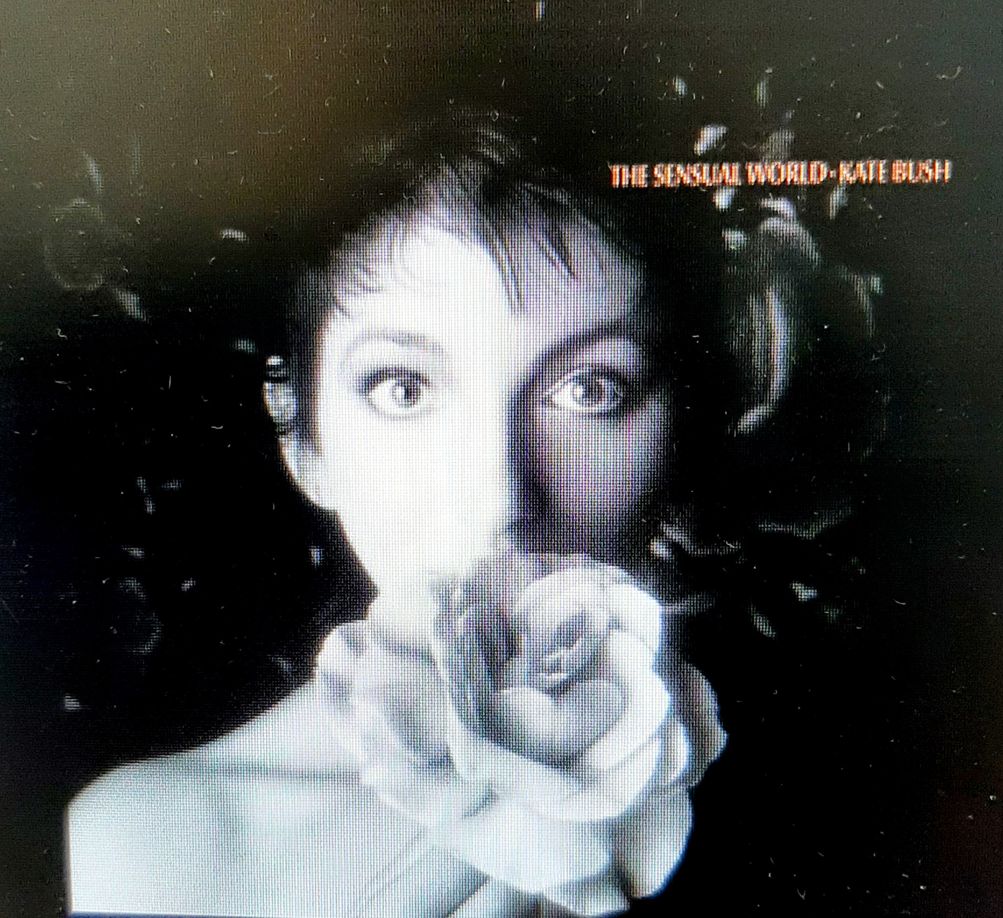 The Sensual World - Kate Bush ( 1989 ) 