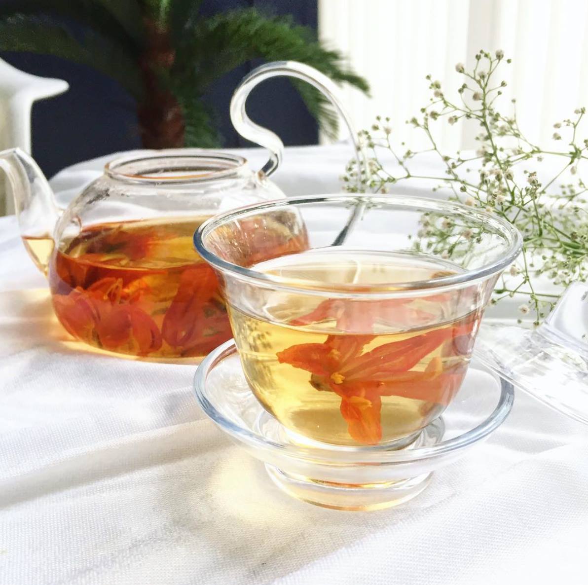 Char - The Easter lily tea. ชาลิลลี่ สายพันธุ์ Easter... | Facebook