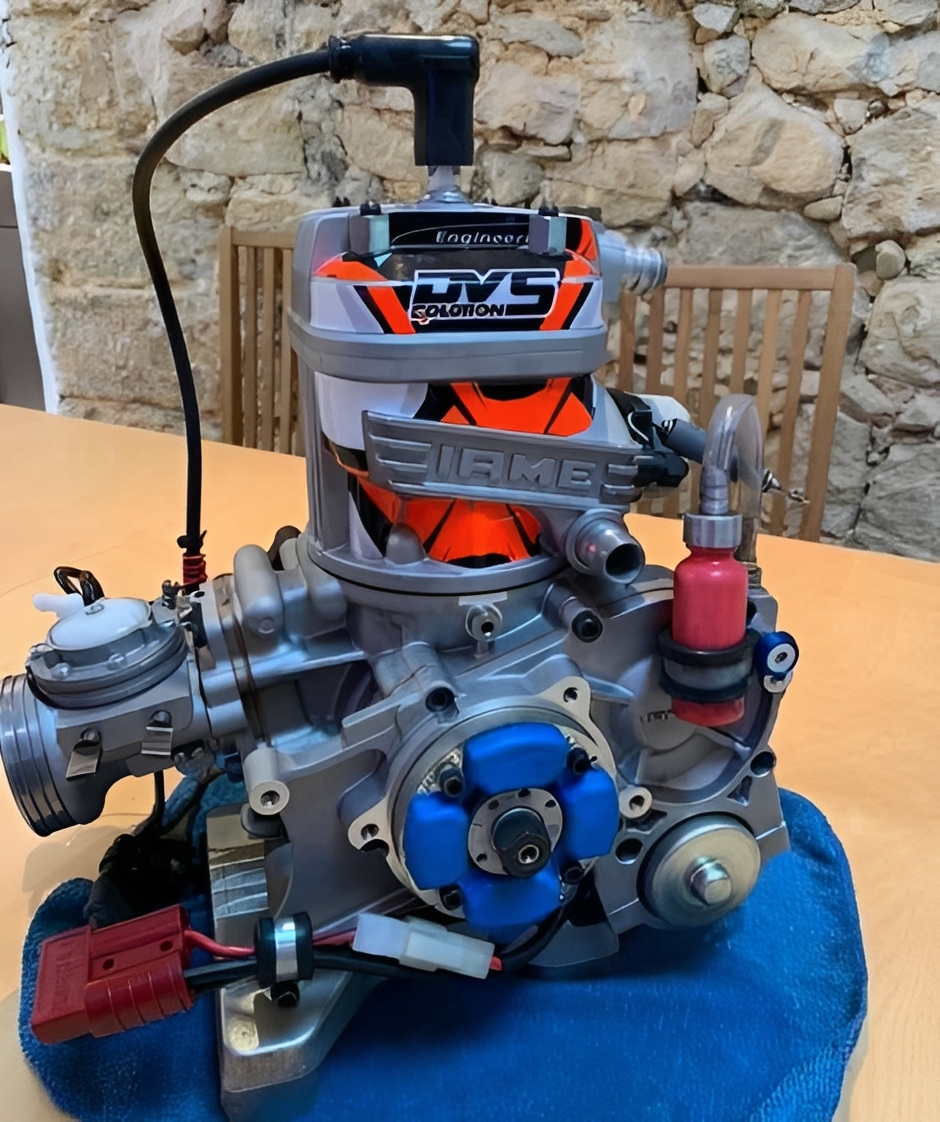 American - This Vortex ROK DVS is a high-performance go-kart engine ...