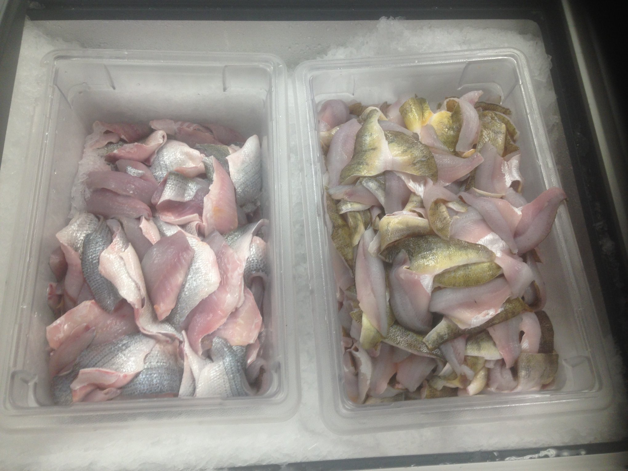 Taylor Fish Company added a new photo. - Taylor Fish Company