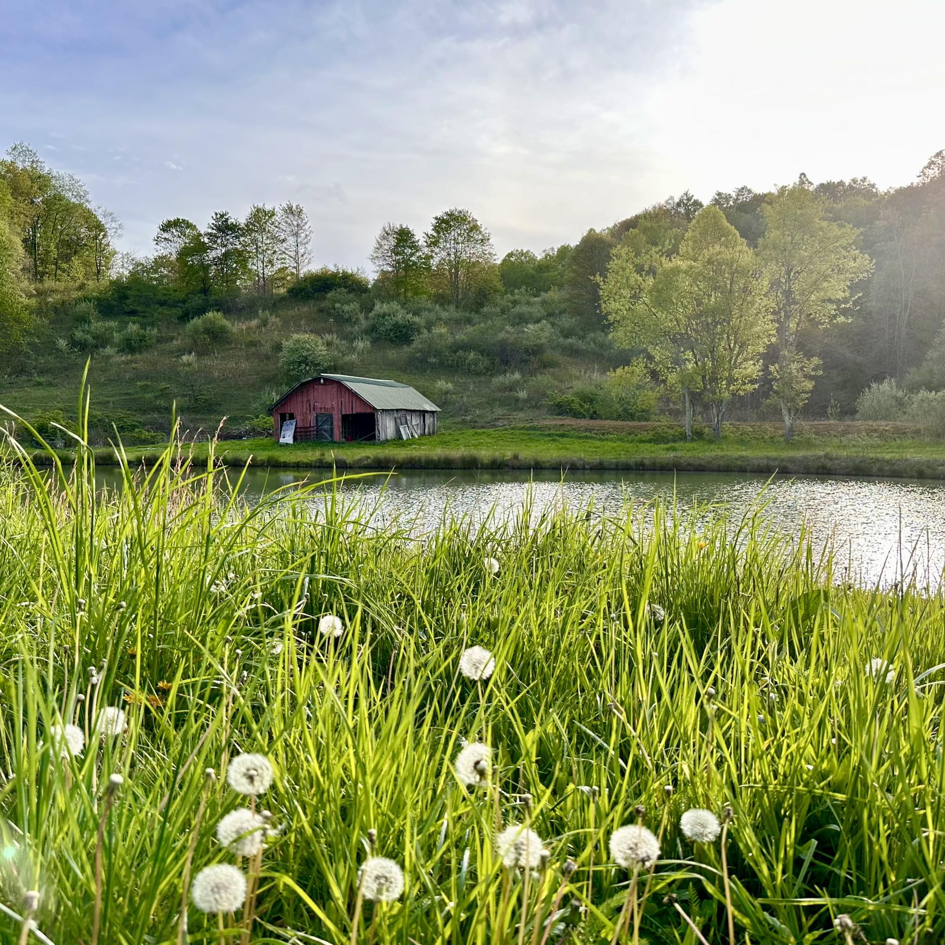 Rohan Ranch Farm