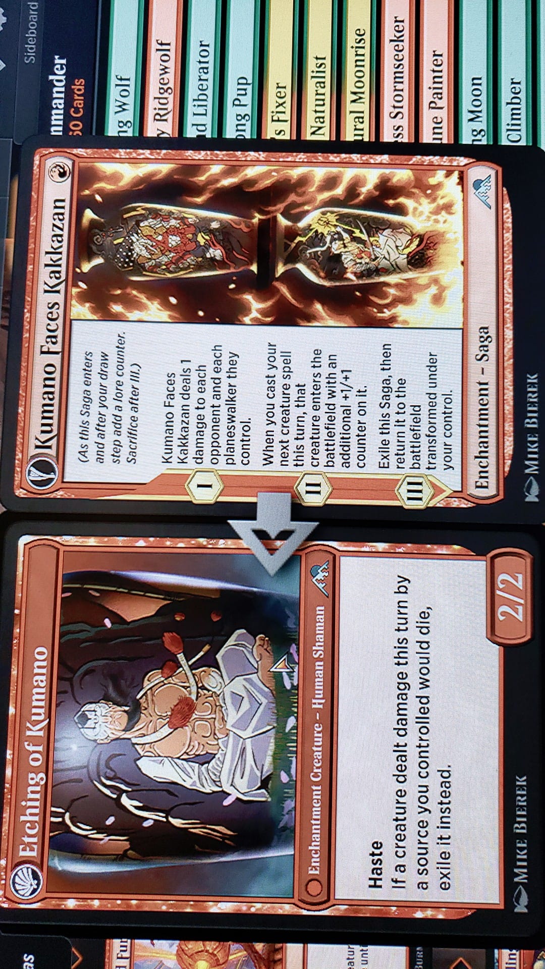 mtg miracle commander deck Magic: The gathering Duskmourn: House of Horror Display  WonderBazarTCG mtg miracle commander deck Player-Built