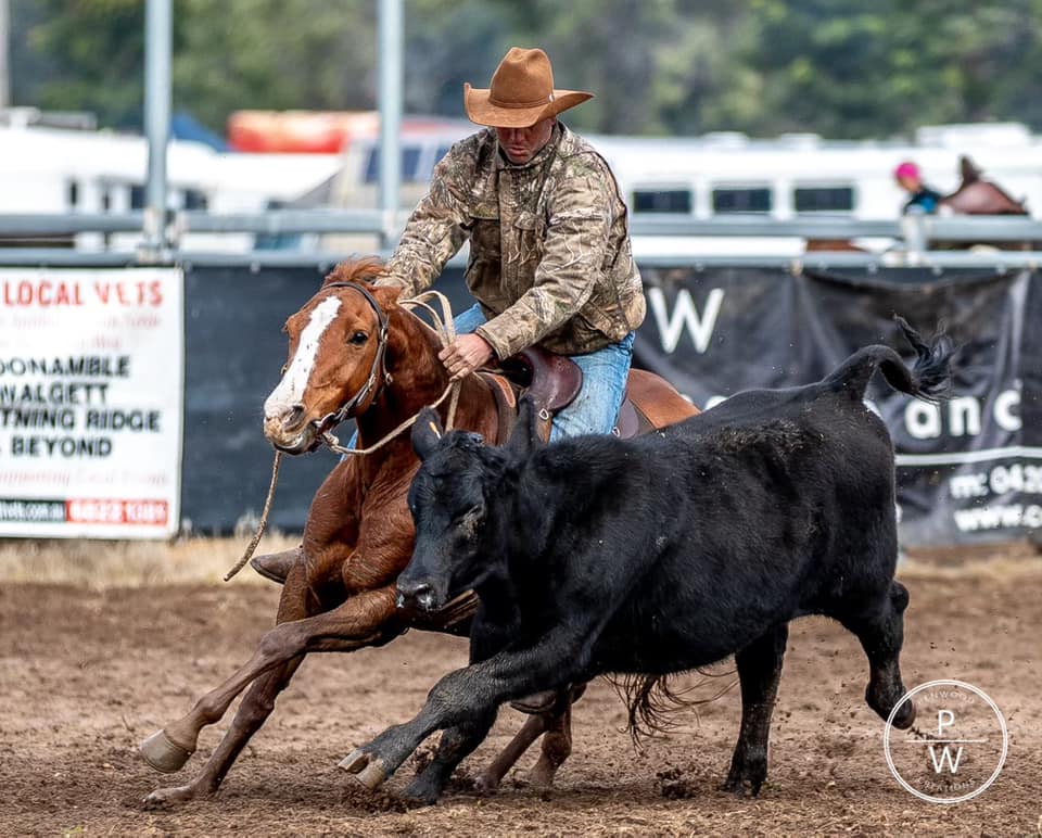 Coonamble Campdraft... - Coonamble Rodeo Association Inc | Facebook