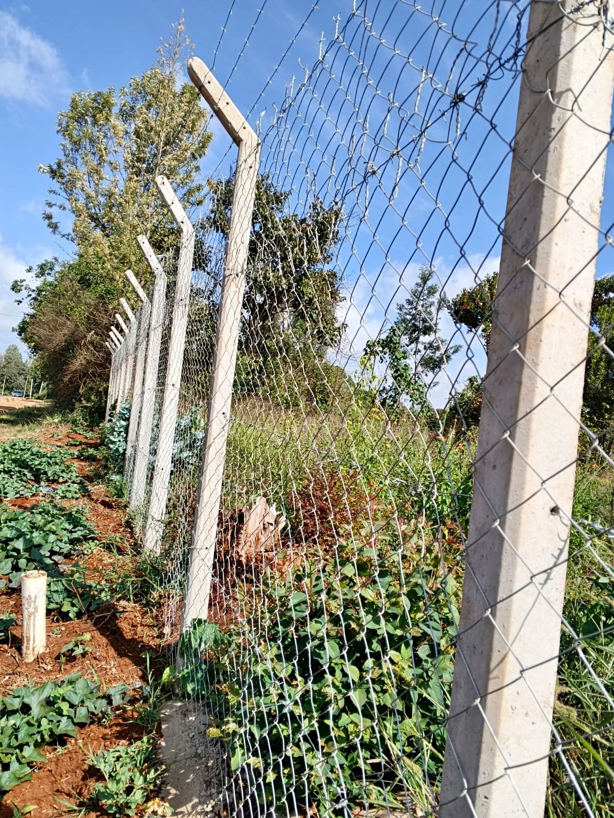 Reinforced concrete posts - Fencing - Nairobi, Kenya | Facebook ...