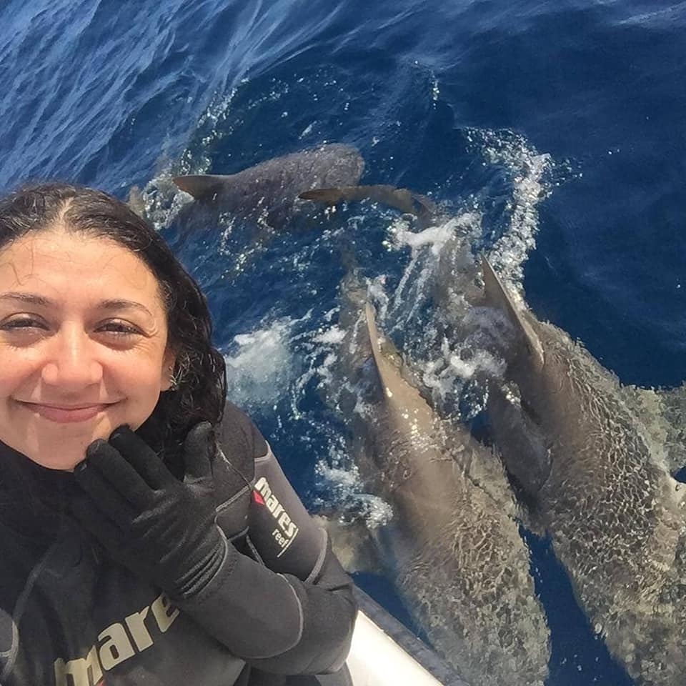 Bryce Rohrer - Captain - Prof Shark Diver
