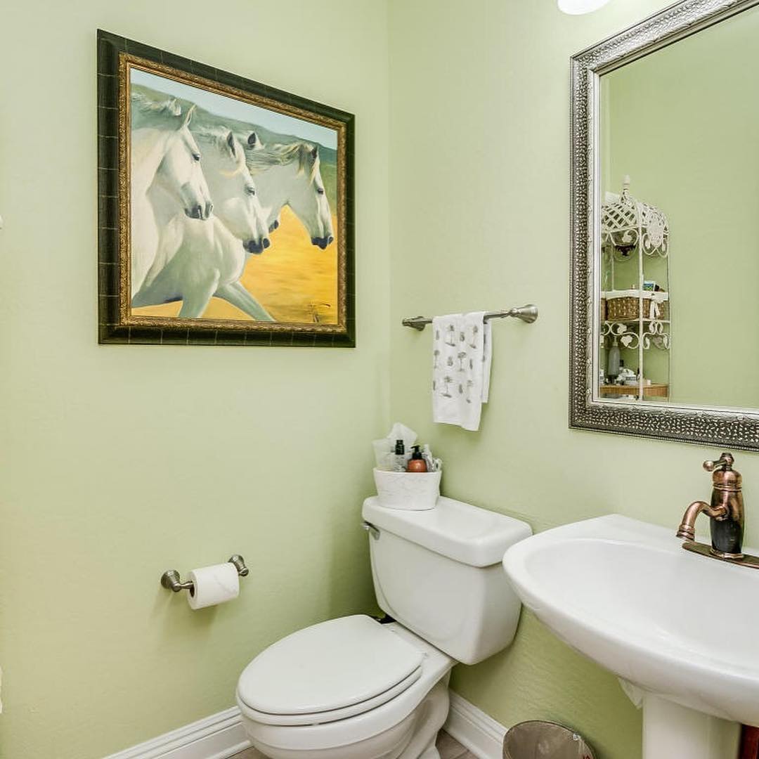 Dawn Riolo Design | Cave Creek AZ