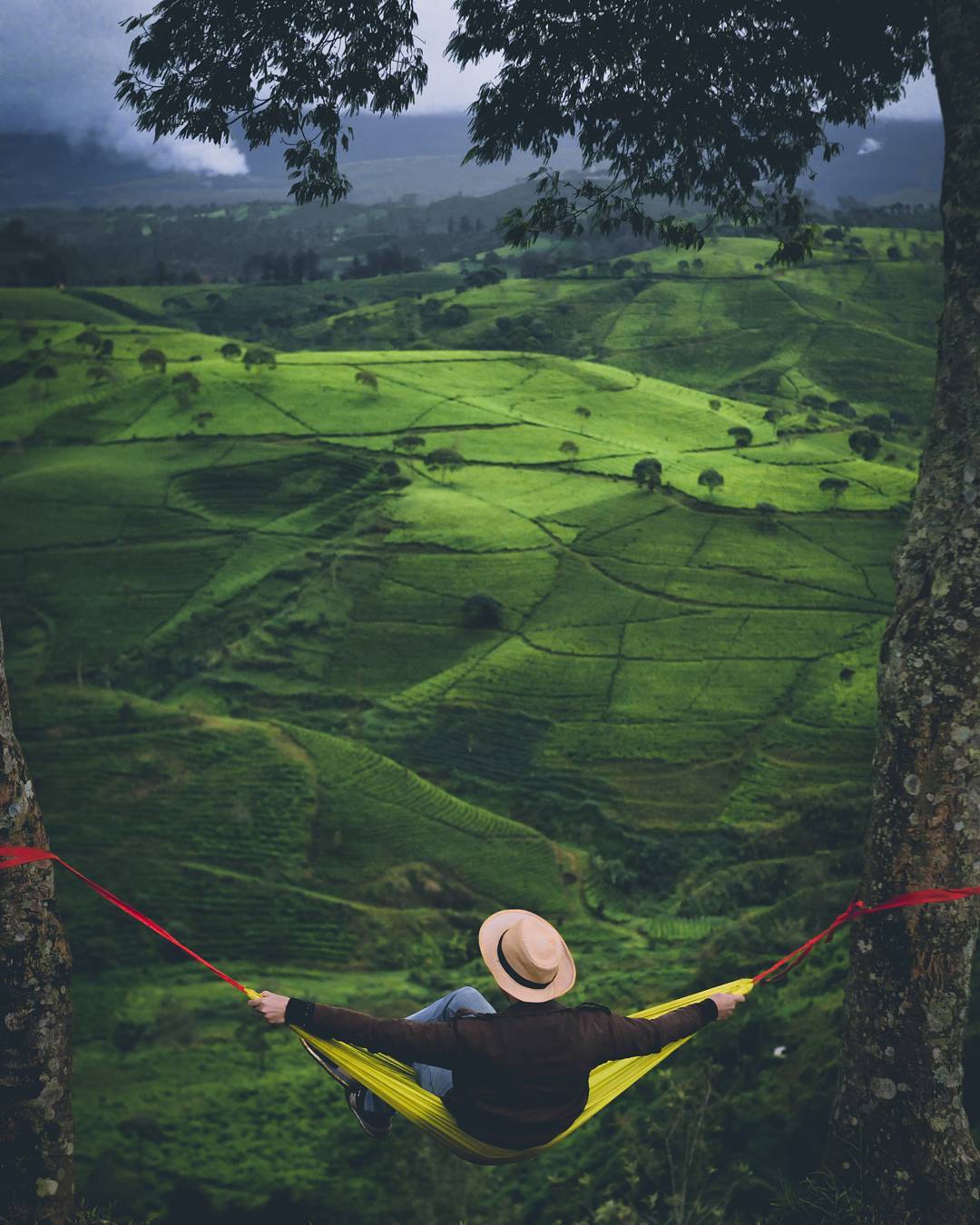 Traveloka Kapan Terakhir Kali Kamu Menghirup Udara Segar Di Alam Terbuka Walaupun Terkesan Sederhana Banyak Lho Manfaat Menghirup Udara Segar Mulai Dari Membersihkan Paru Paru Sampai Membuat Kamu Lebih Berenergi Dan Produktif