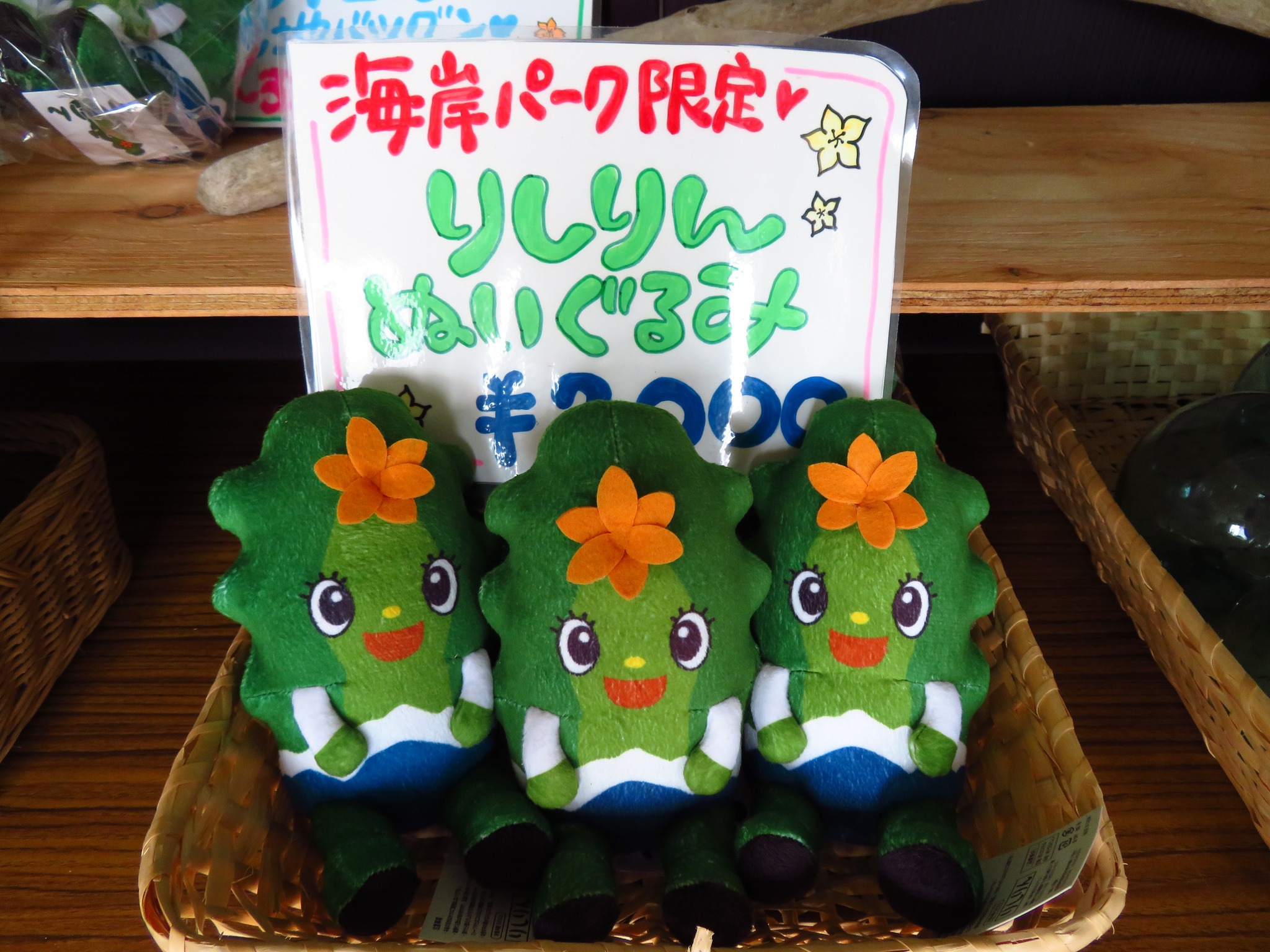 利尻島 神居海岸パーク 利尻町マスコットキャラクター「りしりん