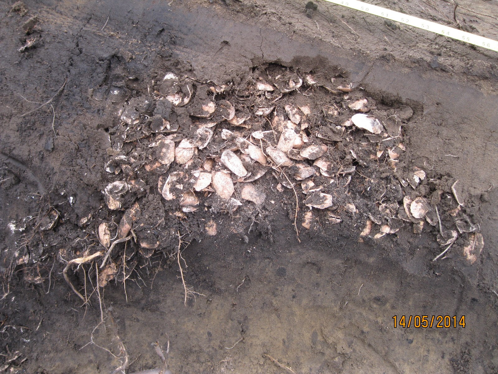 Heritage - One of the things I love about archaeology is that small ...