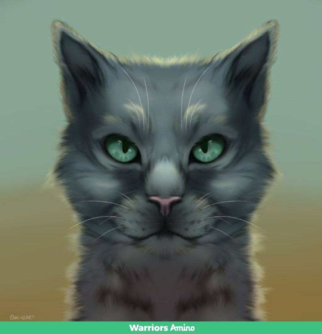 Warrior Cats Dovewing By Owlheart I Might Not Lovewing Dovewing But I Love The Style Here Spottedstorm Facebook