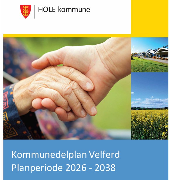 Hole kommune