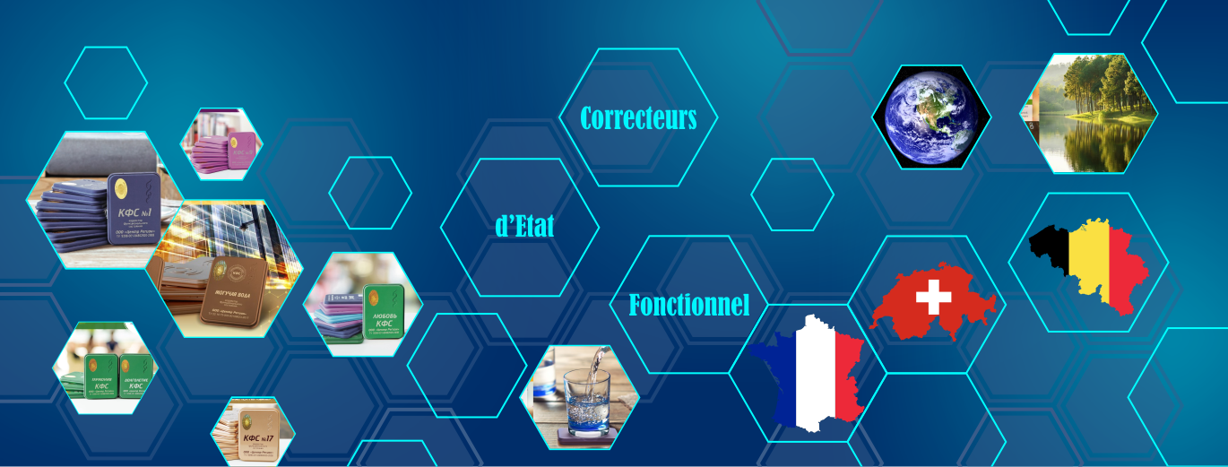 Correcteur D'état Fonctionnel De Koltsov CEF Nouvelle Étoile - Patch - Neuf
