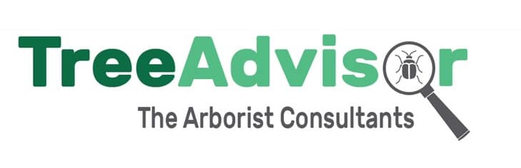TreeAdvisor