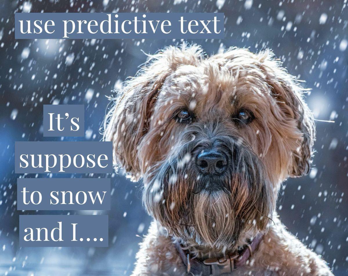 Pets Life UK 💝 | Predictive Text 📲 | Facebook