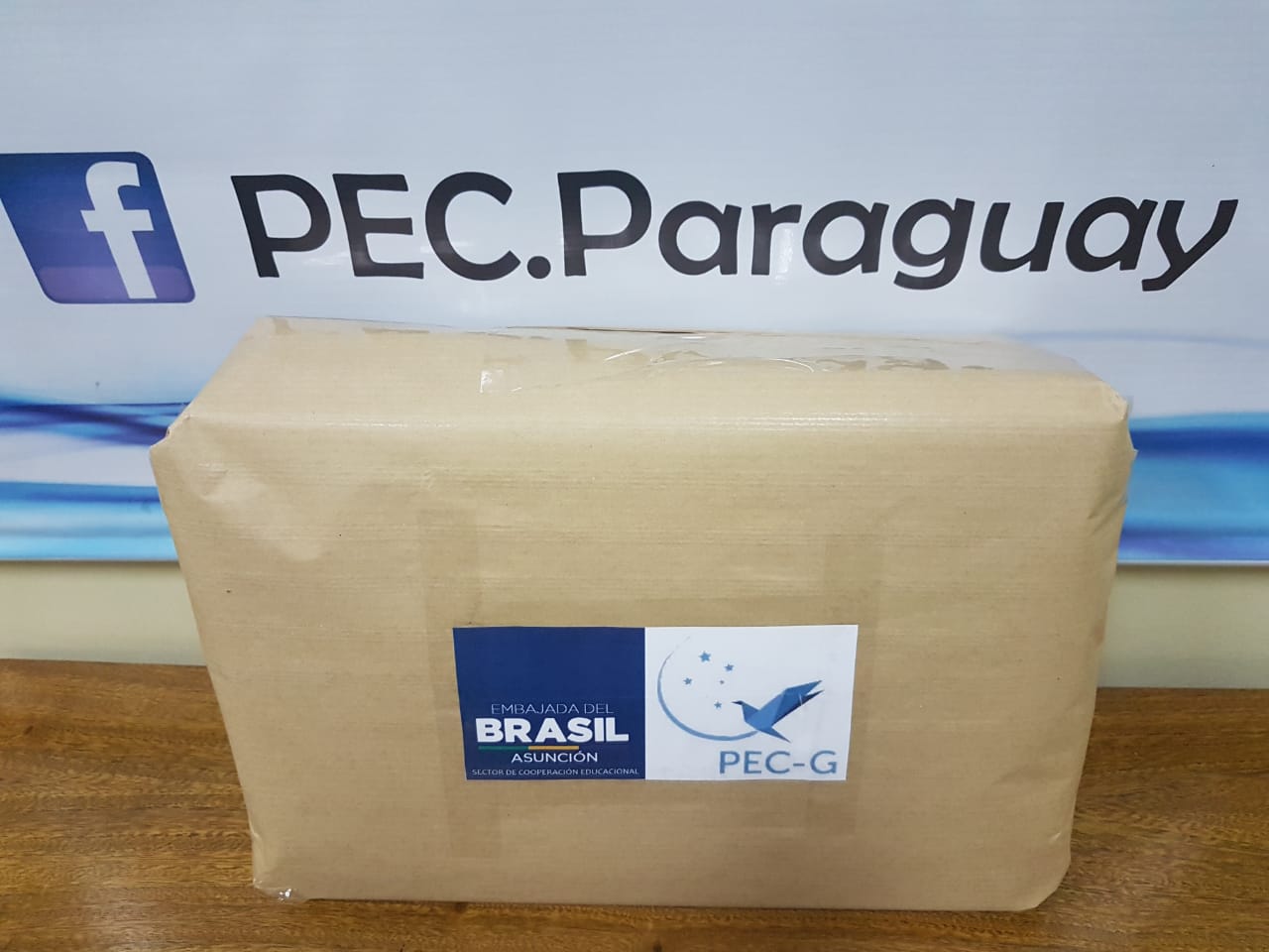 PROGRAMA... - PEC - Programa Estudante Convênio - Paraguay