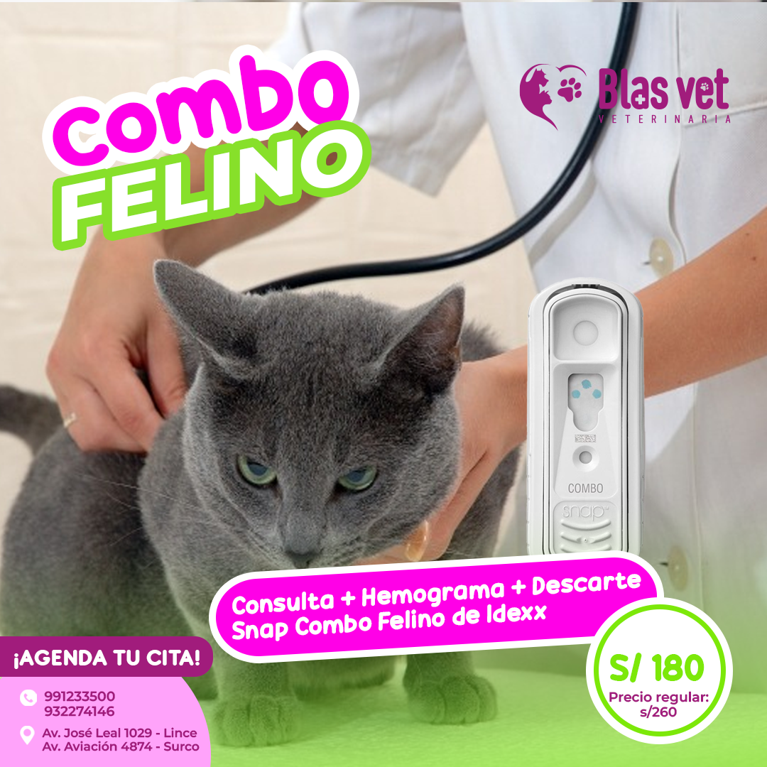 BLAS VET - Promo del mes de agosto para nuestros felinos amigos🐱🐾 ...