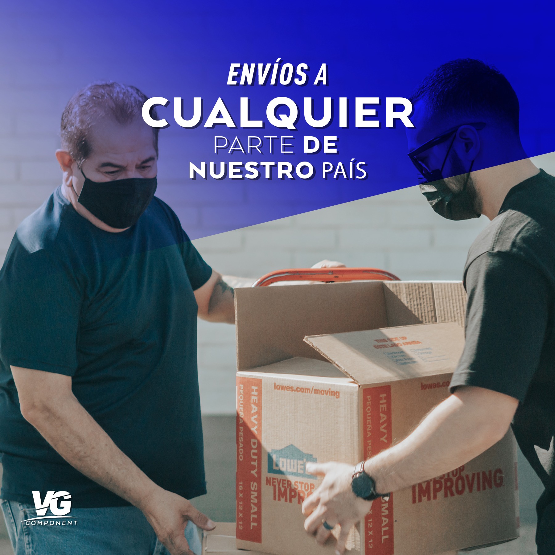 VG Component - Nuestra distribución cubre toda la... | Facebook