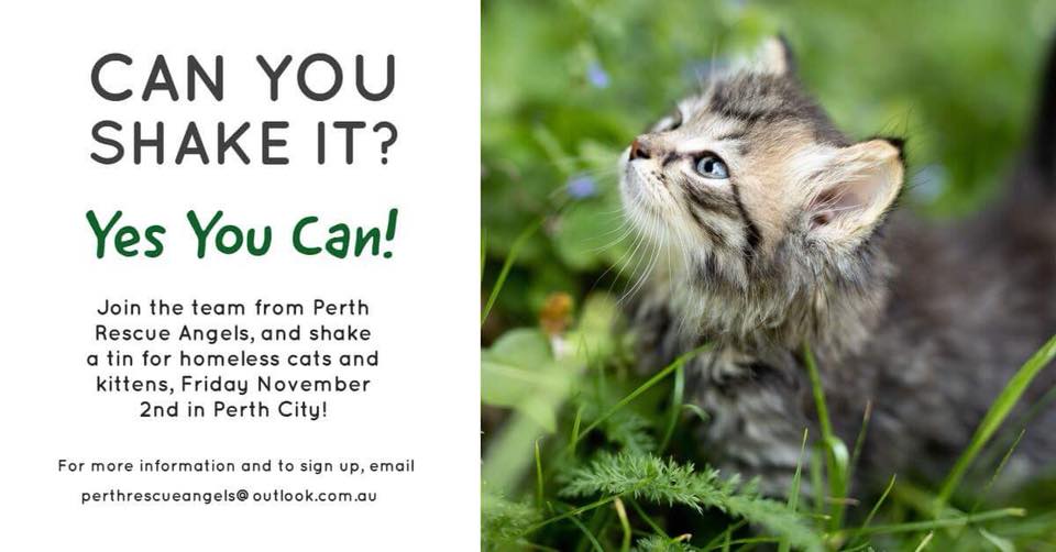 Perth Rescue Angels Events