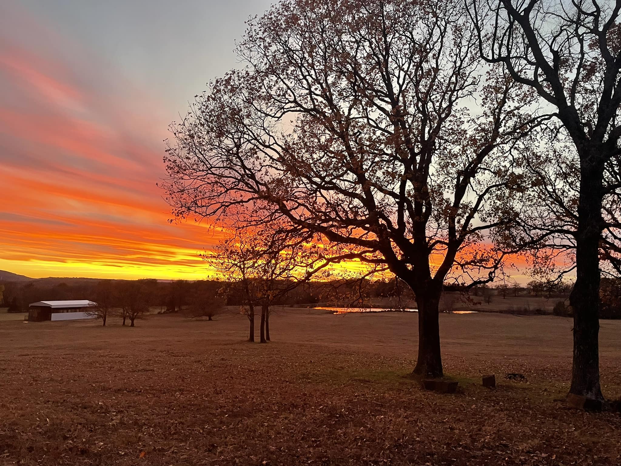 Wann Ranch