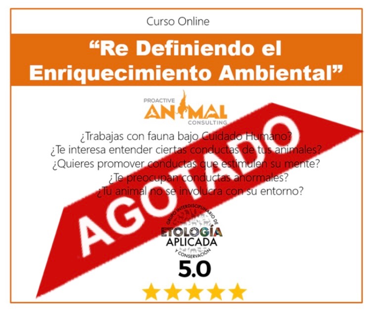 Proactive Animal Consulting | Cancún