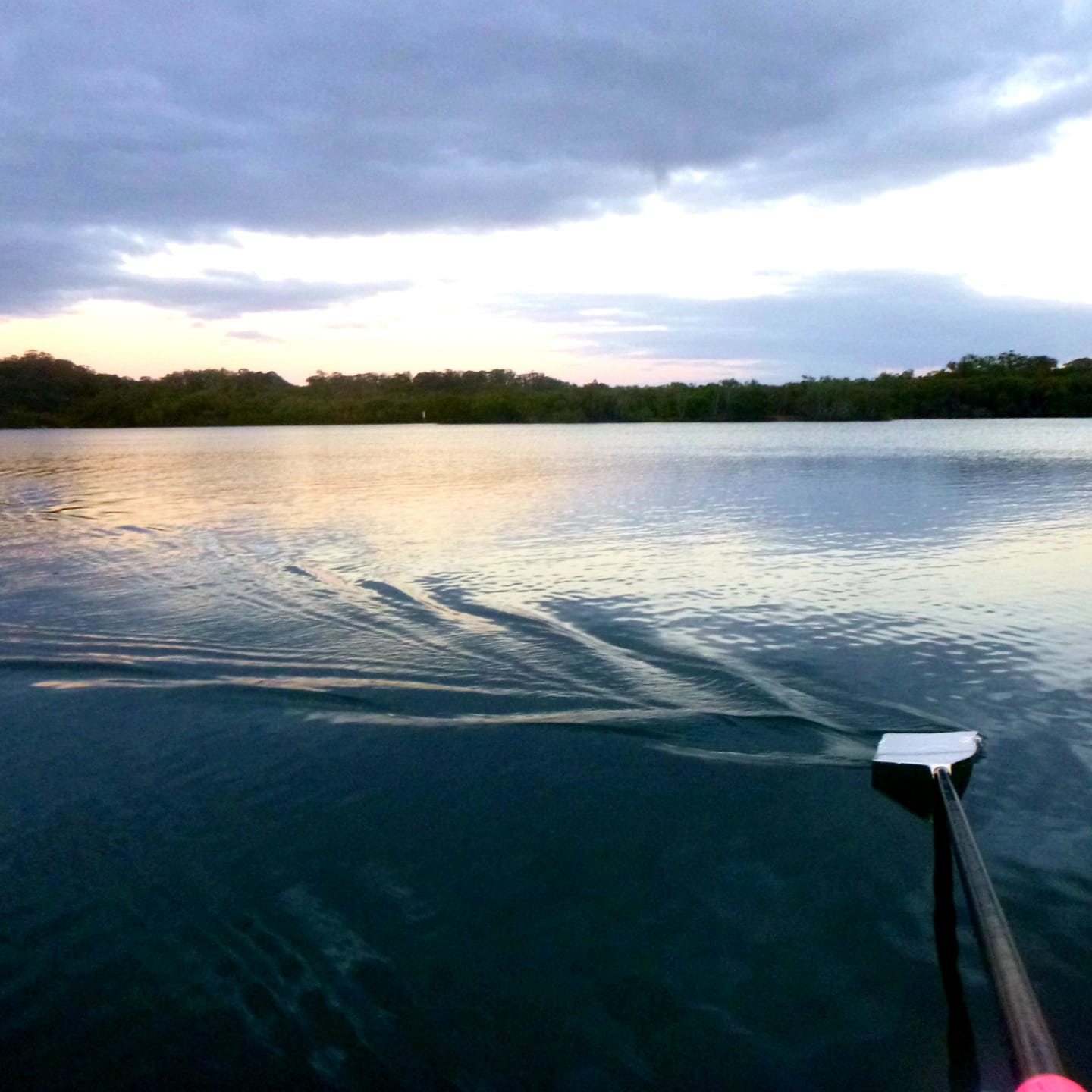 How incredible is... - Tweed Heads & Coolangatta Rowing Club | Facebook