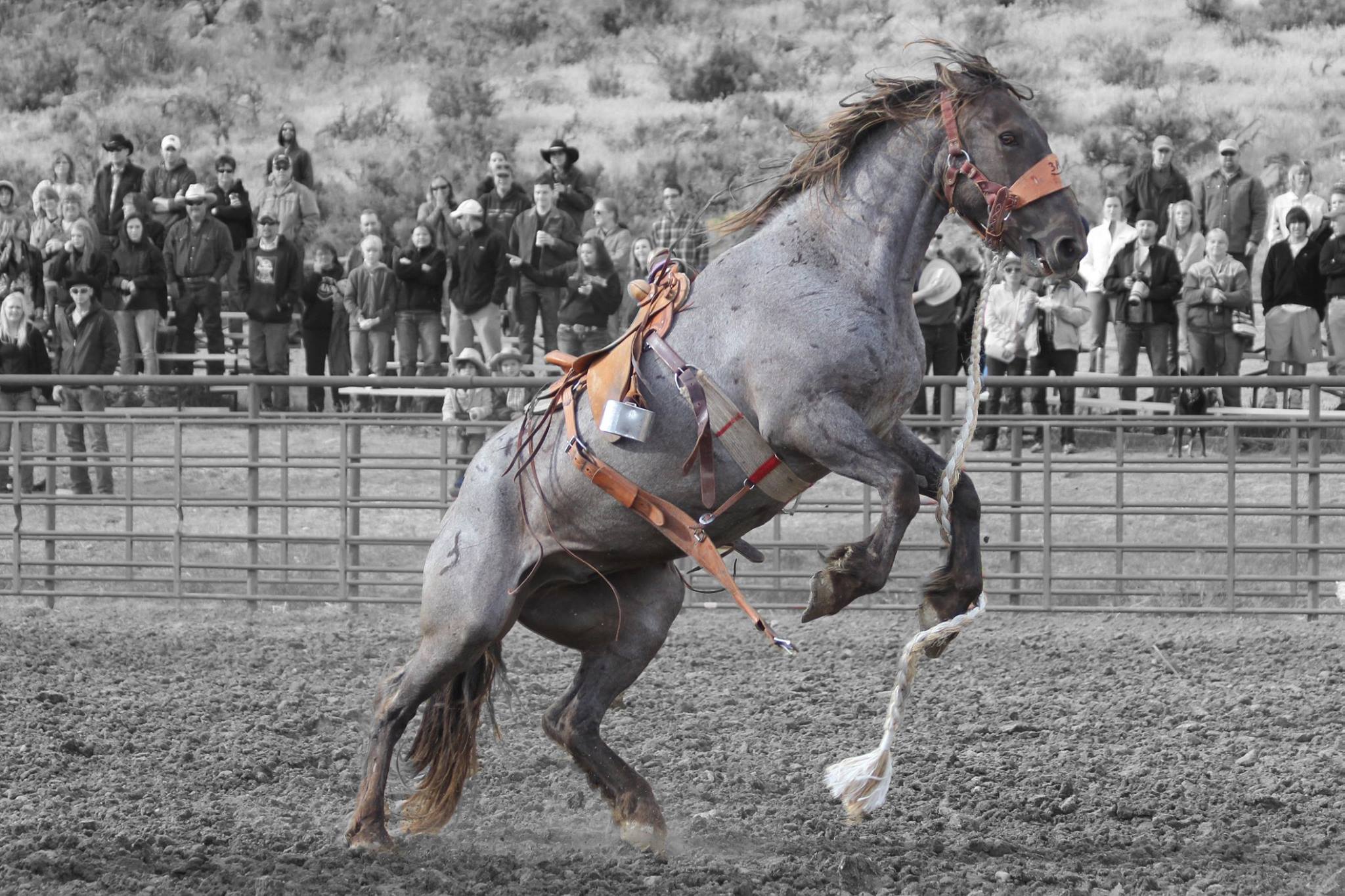 Gardiner Rodeo | Gardiner MT