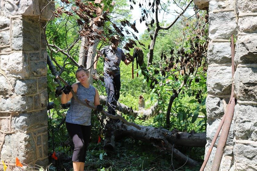 Restore Native Plants... - Restore Native Plants and Wildlife