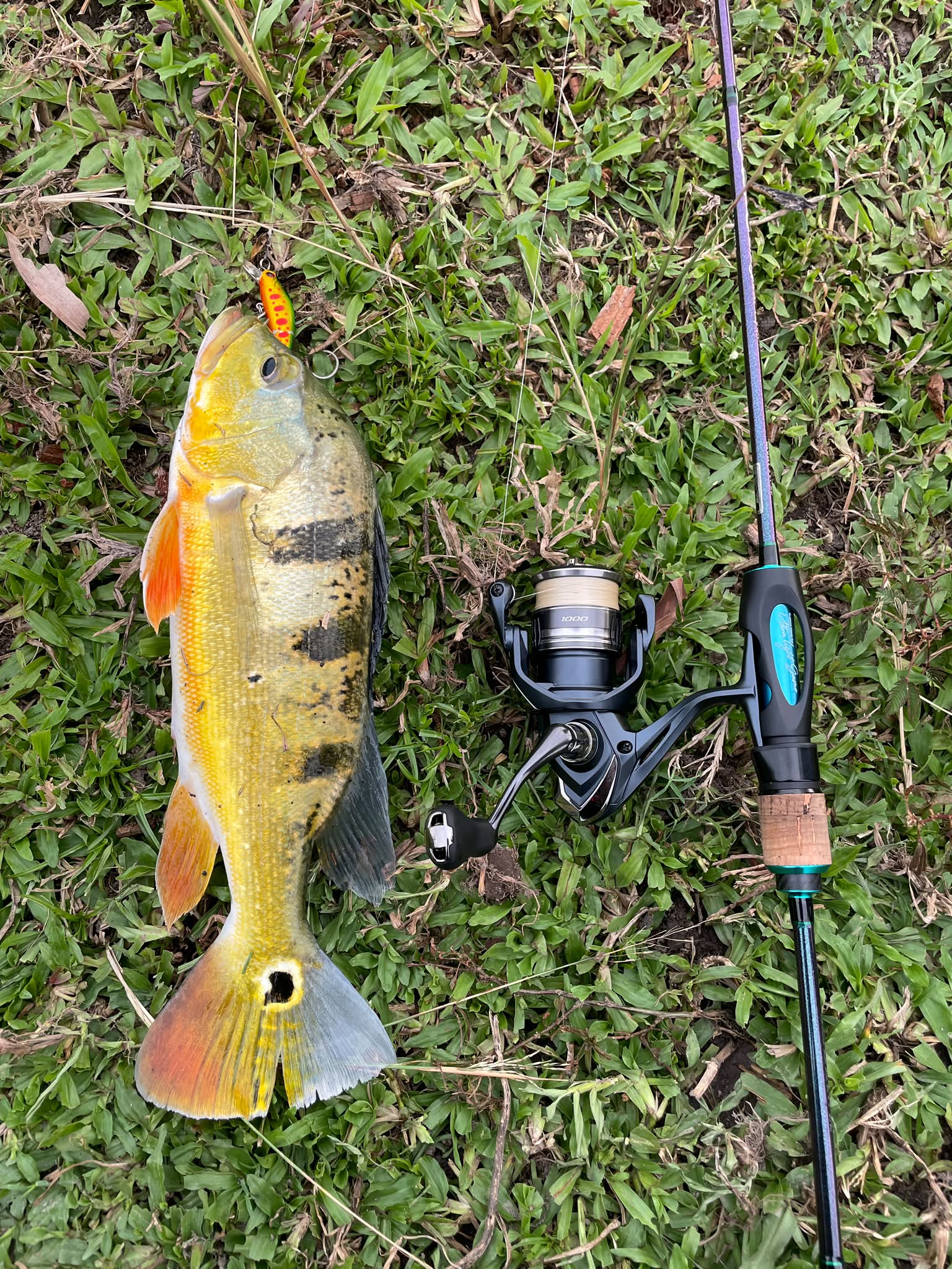 abu fishing rods and reels Garcia Revo X Baitcast Combo 7' Medium Heavy Right Hand Abu Garcia maintenance kit Size:FTH400LPHS Savannah 723: 6 ft ton Intracarbon rod
