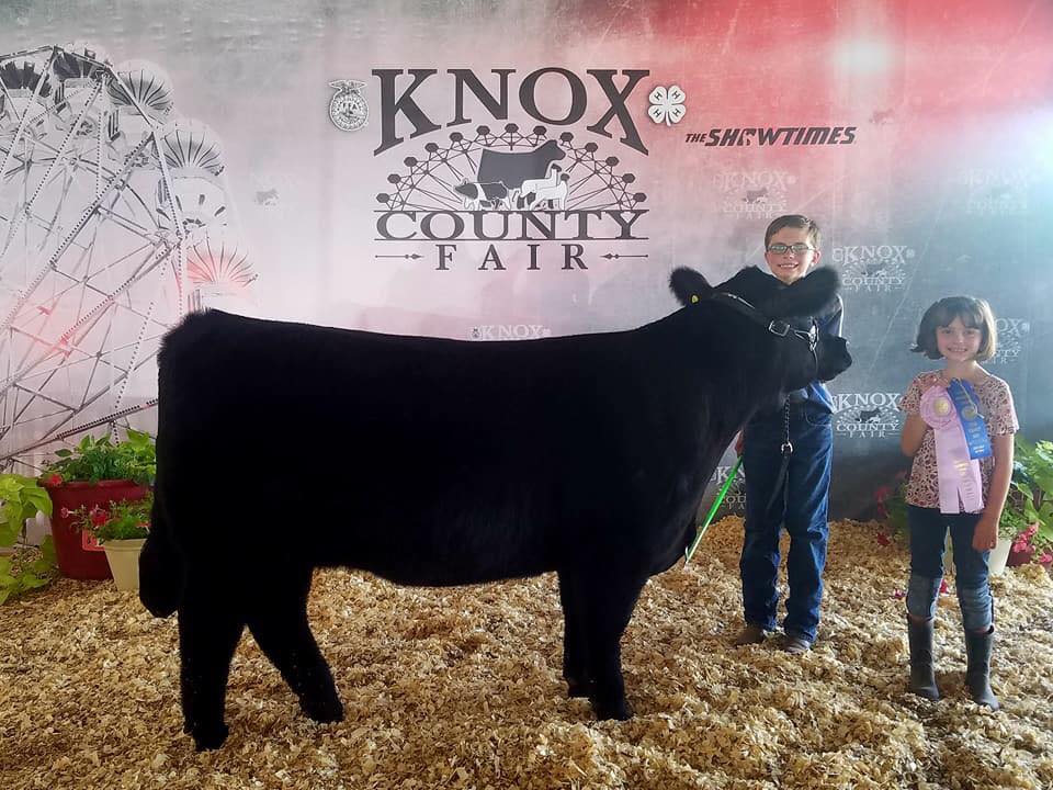 Congratulations to our Stark... - Stark County Junior Fair | Facebook