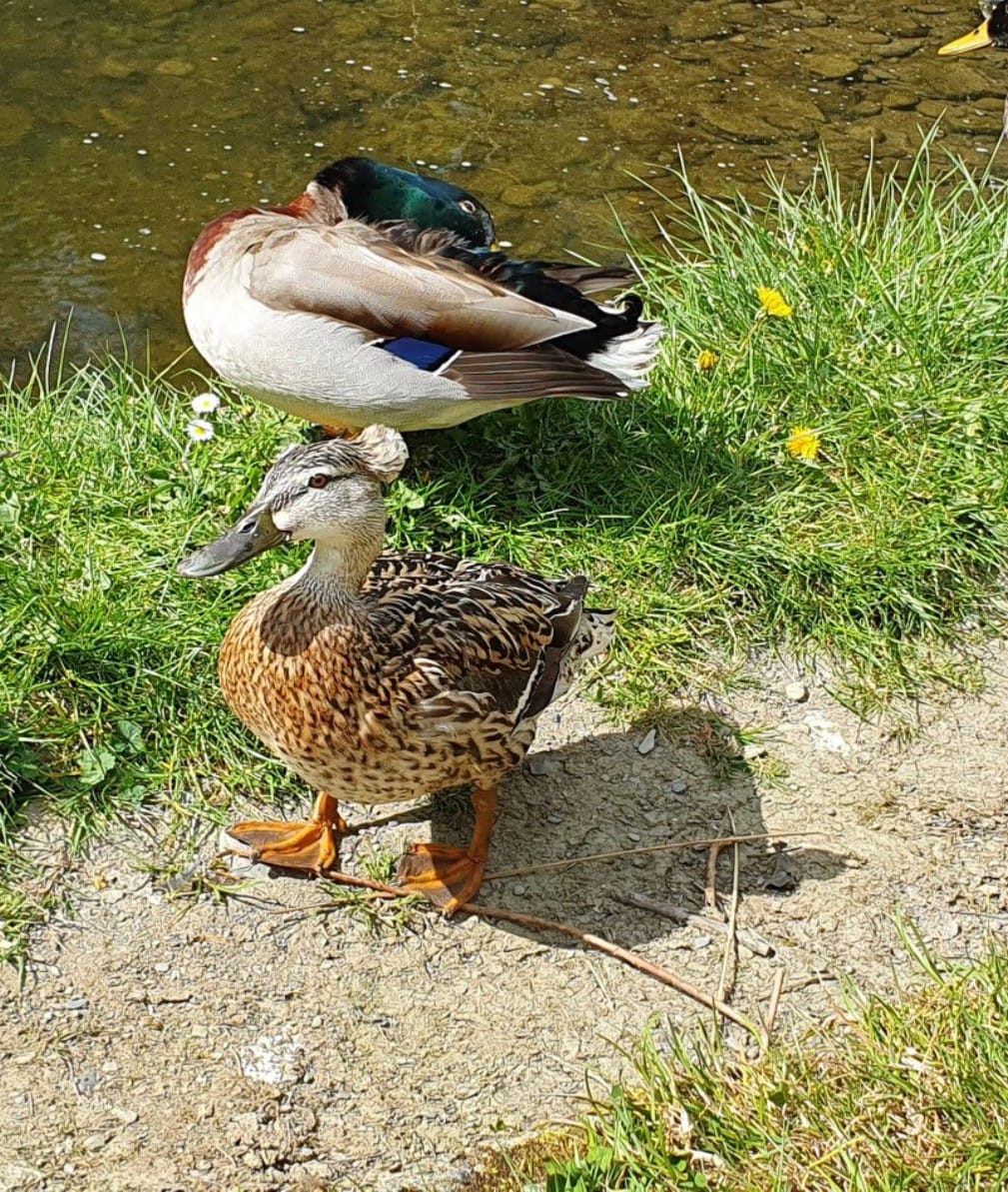Porn Picture