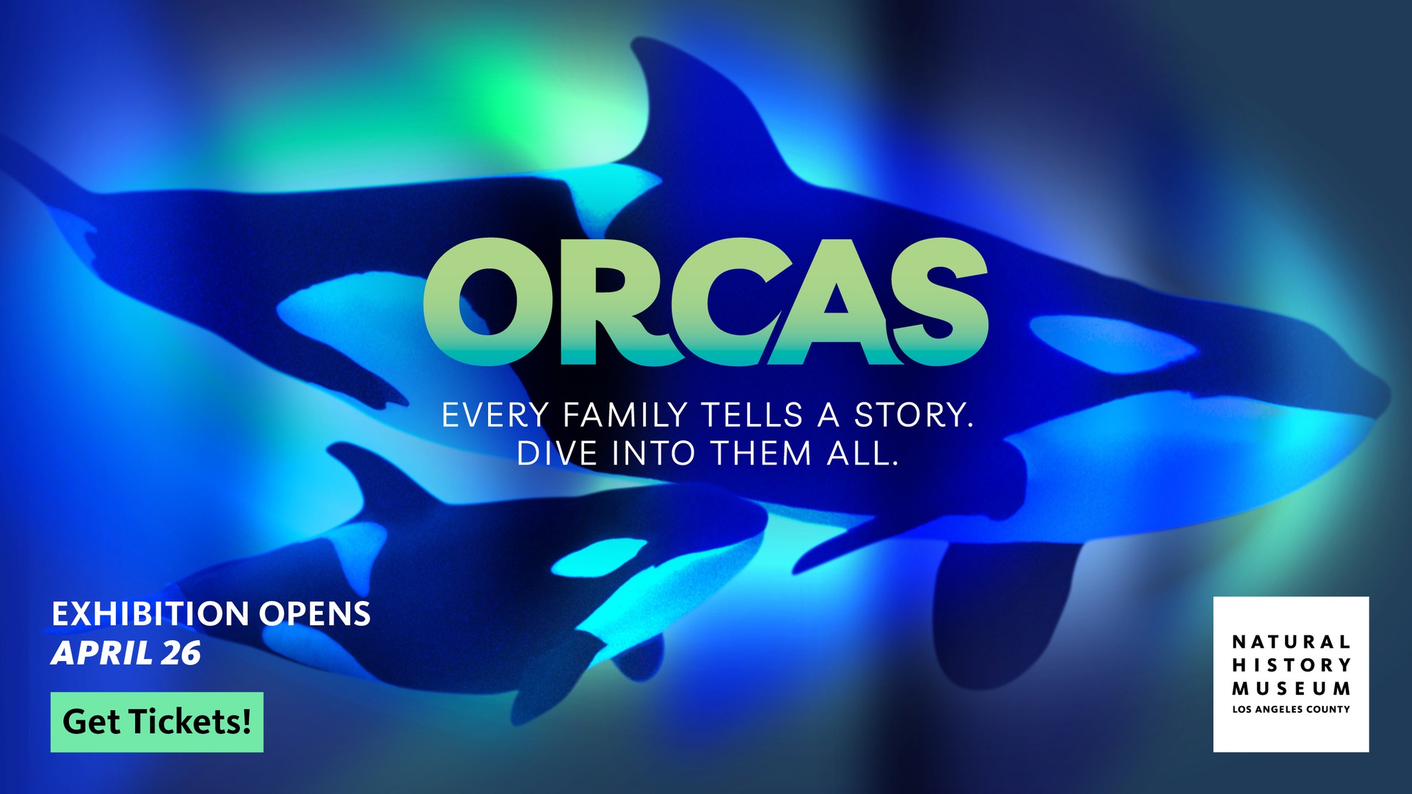 Orcas: Our Shared Future | Member Previews