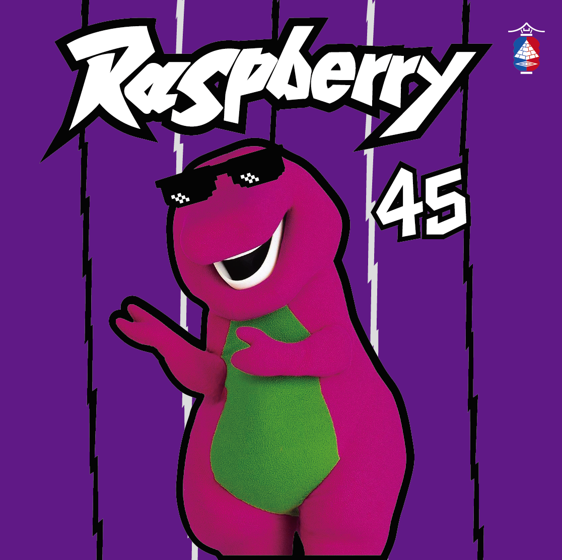 Jumper45 - [ FROM RAPTORS TO THE RASPBERRY ] 今年的季後賽看到暴龍隊打成這樣，真的很想求暴龍隊的 ...