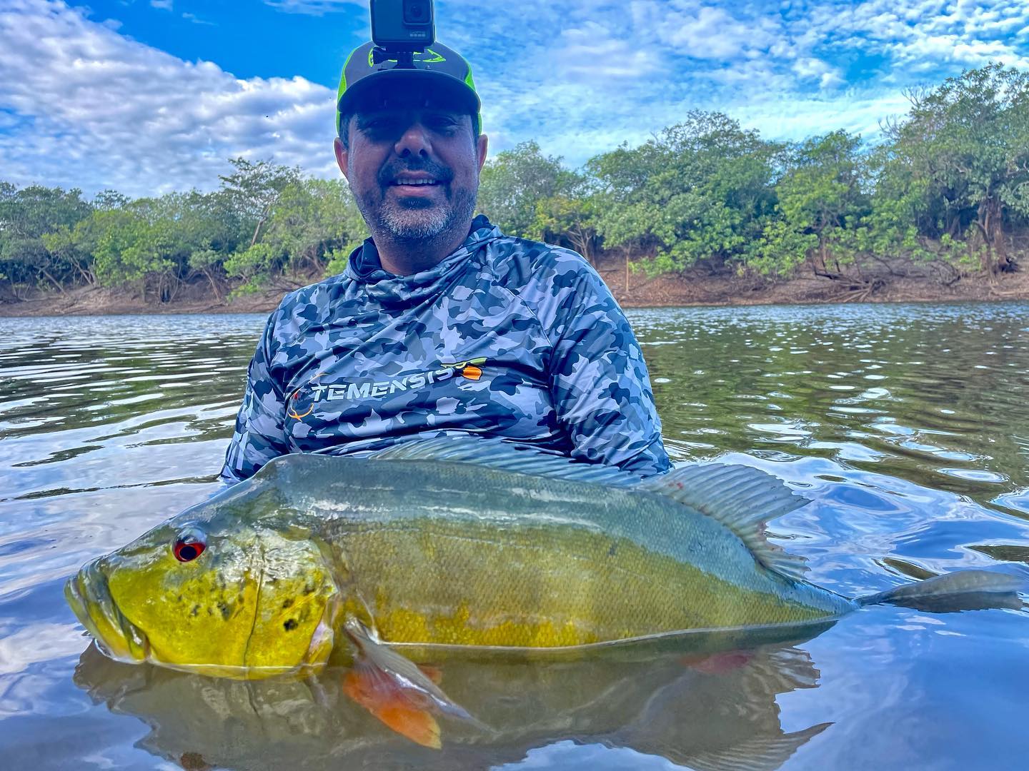 Temensis | Pereira