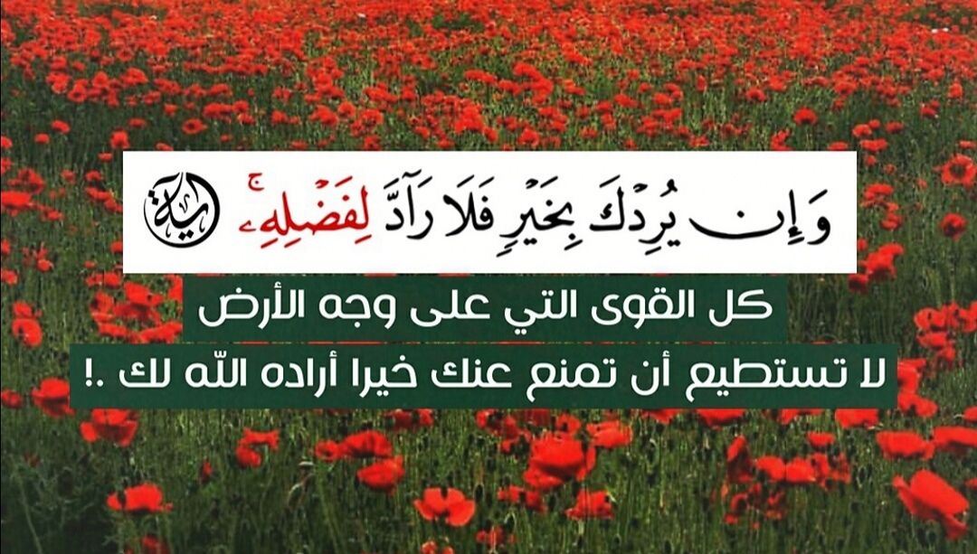 كوري FF - سورة يس... يستحب قرائتها يوميا فهي مفتاح السعادة والحفظ ...