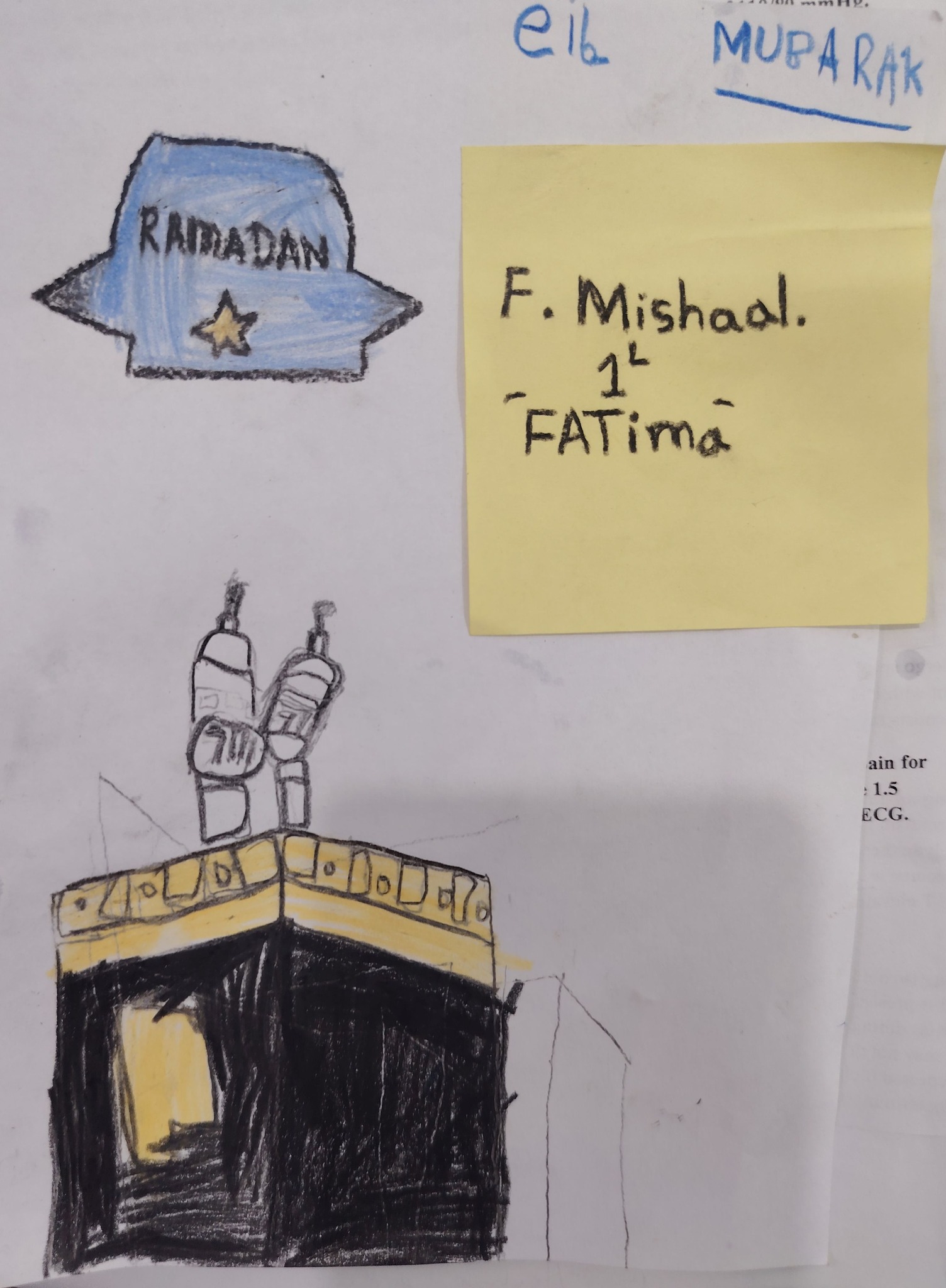 Hisham Haniffa