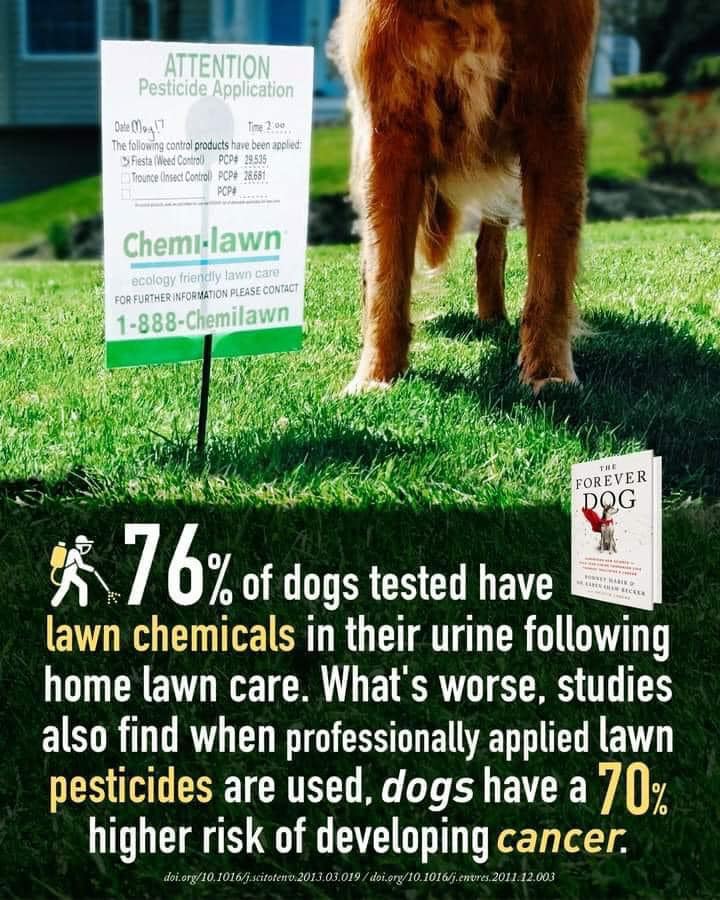 Healthy Lawn Full Website (Copy, 234 selected)