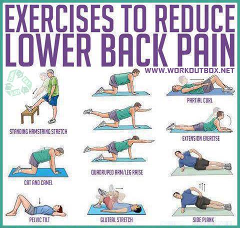 How to exercises to reduce your... - Shape Up Sport Center | Facebook