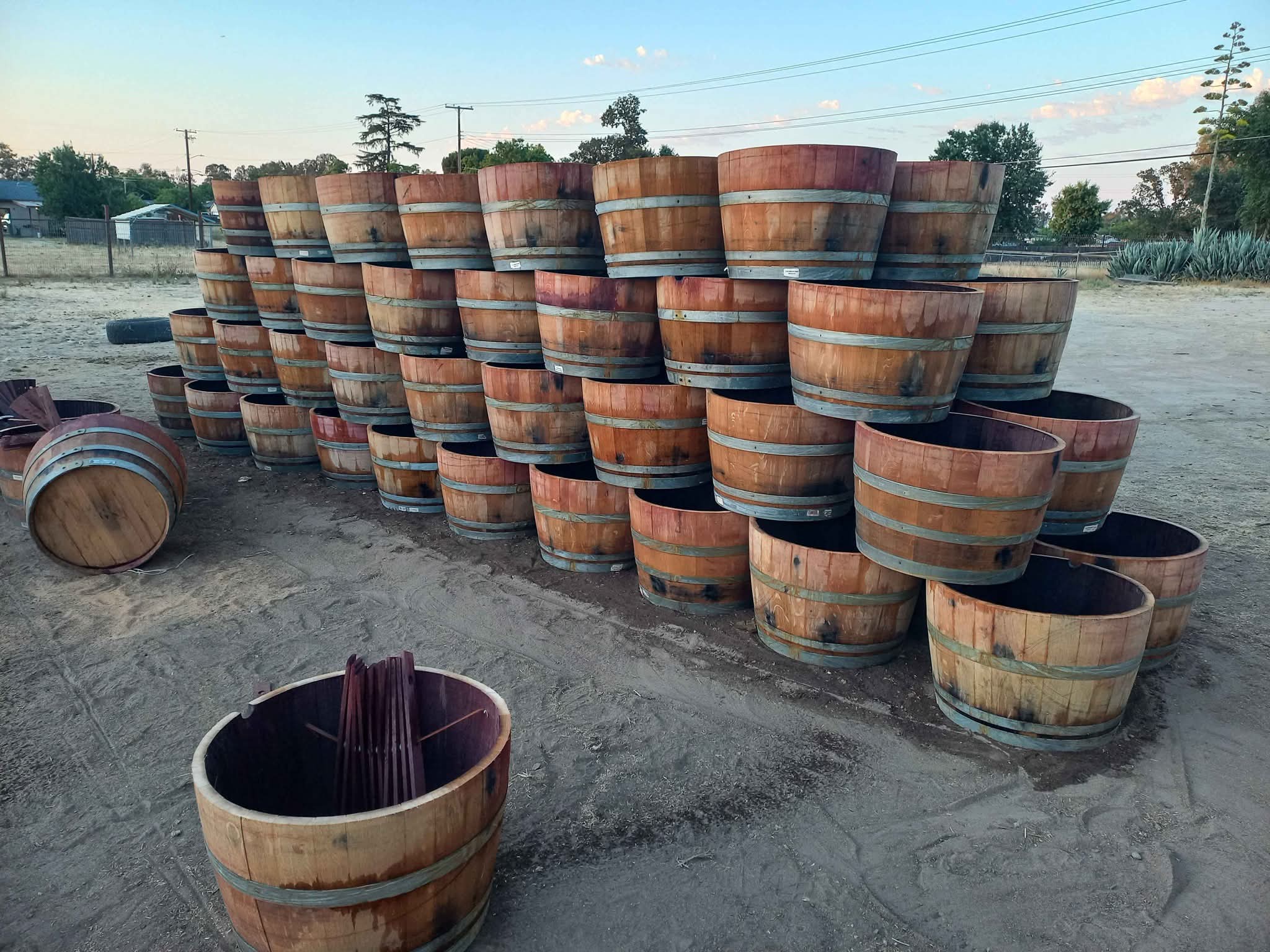 🌿 Wine Barrels & Barrel Planters – Perfect for Gardening & Décor! 🌿