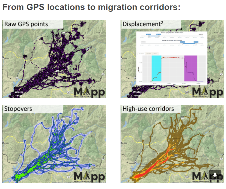 MIGRATION MAPPER, A NEW... - Wyoming Migration Initiative