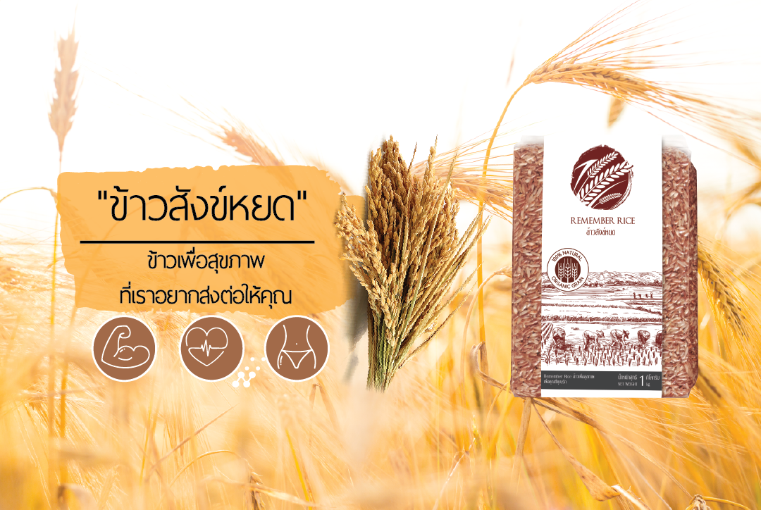 ข้าวสังข์หยด ข้าวไรซ์เบอรี่ Remember Rice - Home